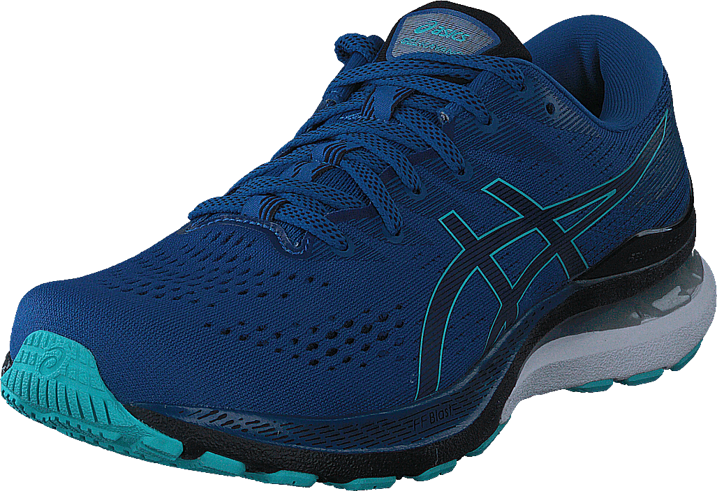Gel-kayano 28 Lake Drive/black