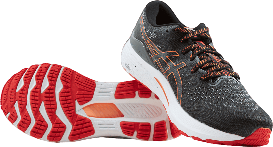 Gel-kayano 28 Black/clay Grey