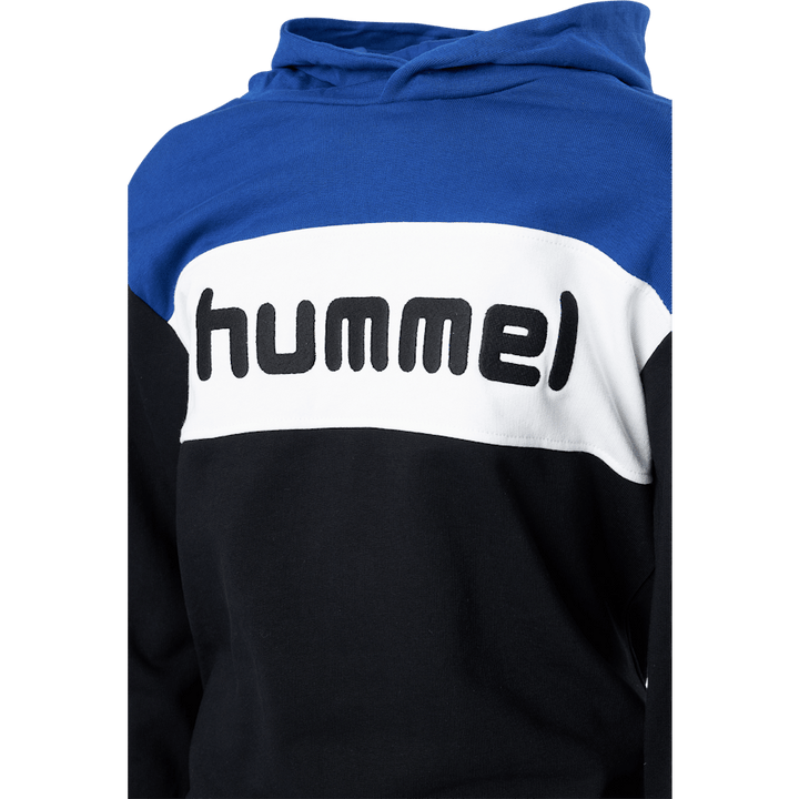 Hmlmorten Hoodie Sodalite Sinine