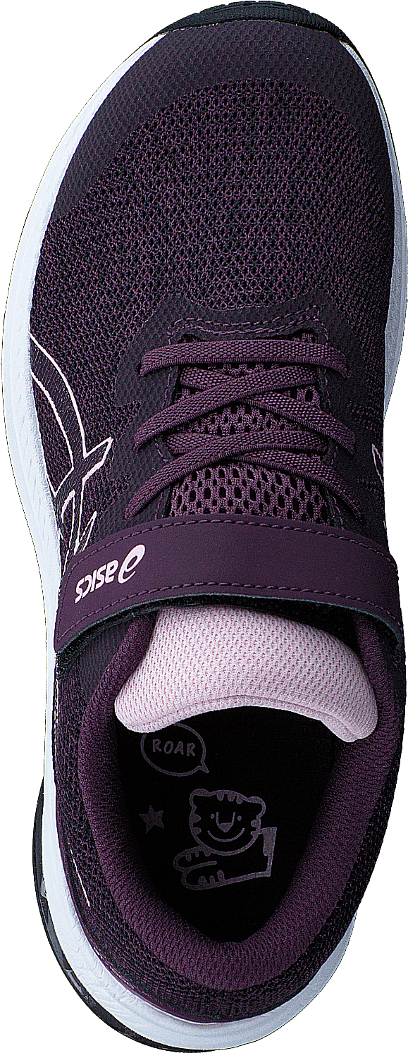Gt-1000 11 Ps Deep Plum/barely Rose