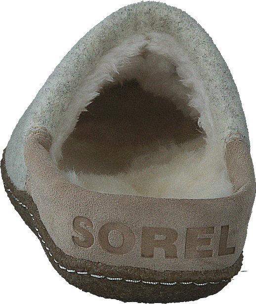 Nakiska Scuff Ancient Fossil, Gum 2