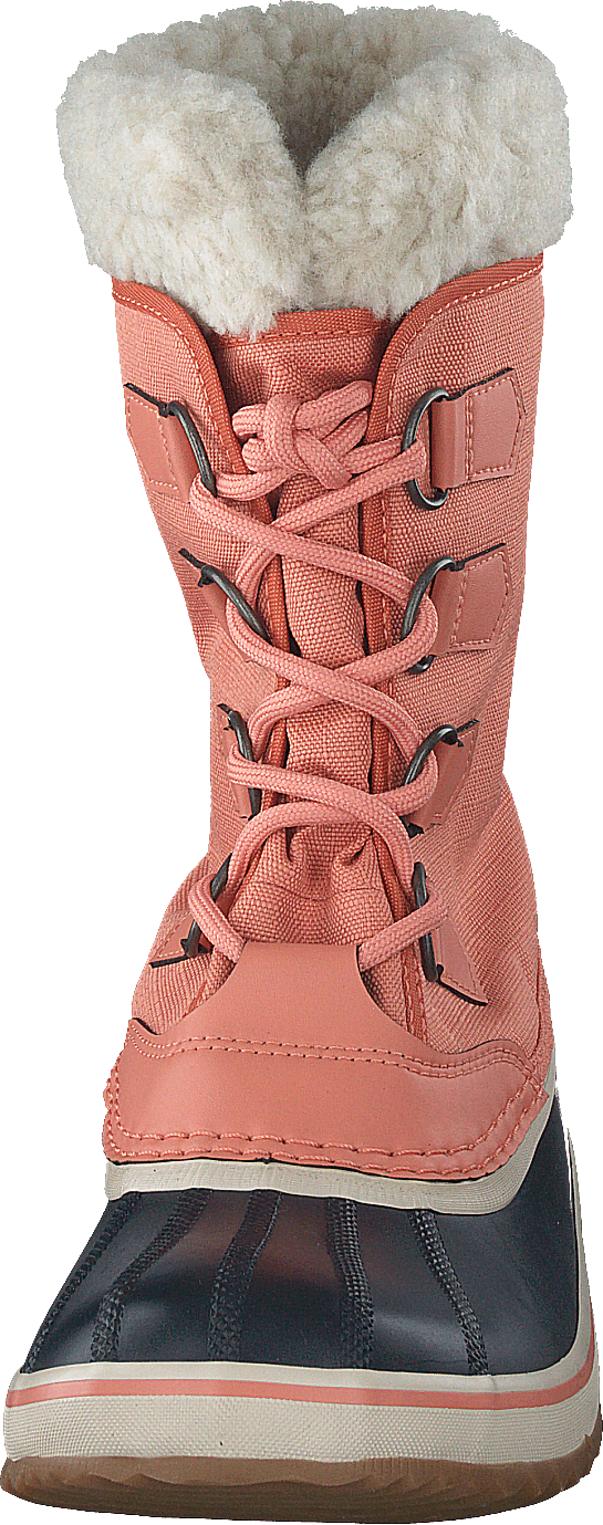 Winter Carnival Wp Paradox Pink, Abyss