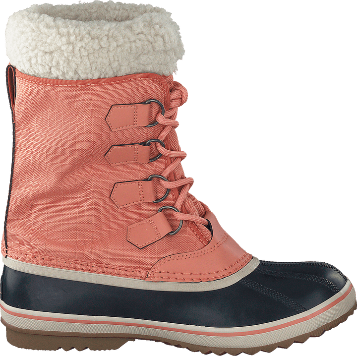Winter Carnival Wp Paradox Pink, Abyss