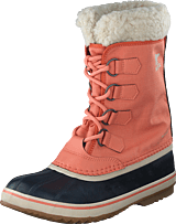 Winter Carnival Wp Paradox Pink, Abyss