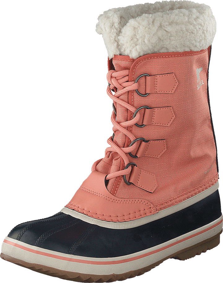 Winter Carnival Wp Paradox Pink, Abyss