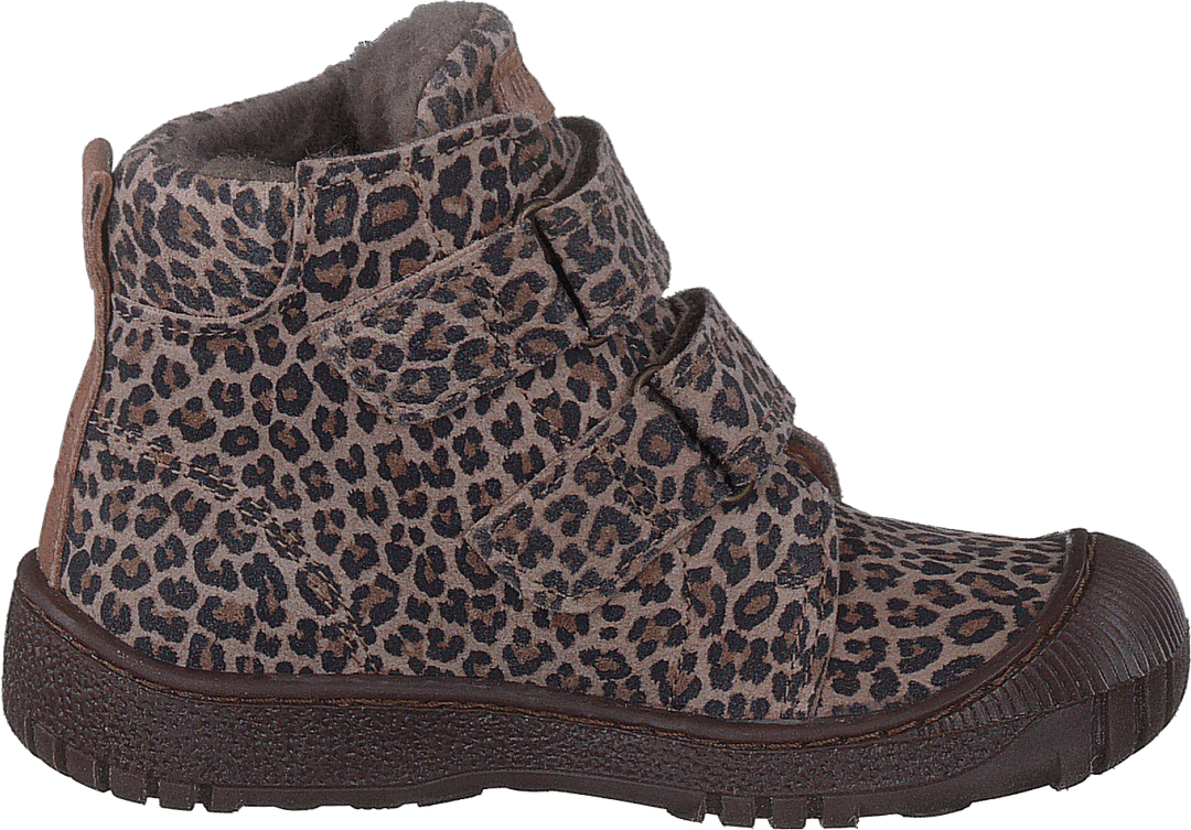Bisgaard Evon Leopard