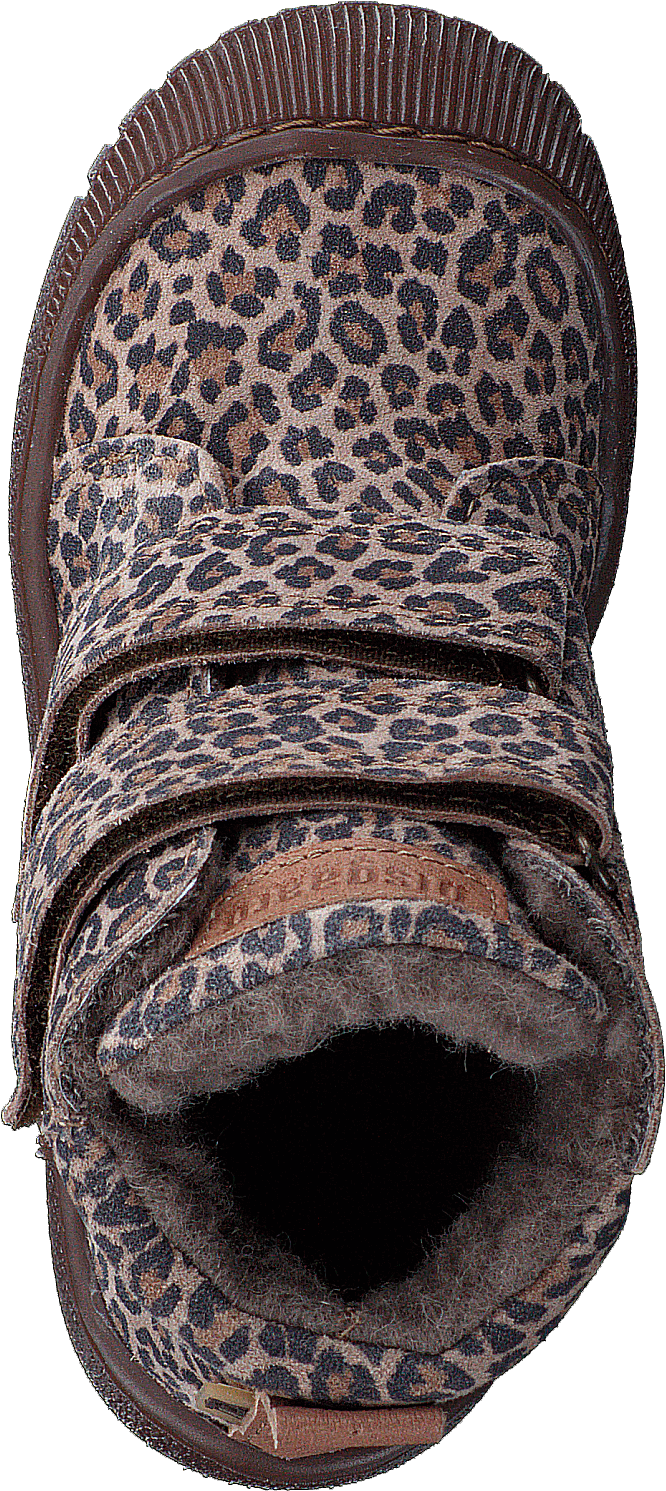 Bisgaard Evon Leopard