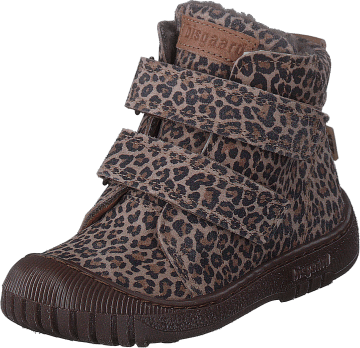 Bisgaard Evon Leopard