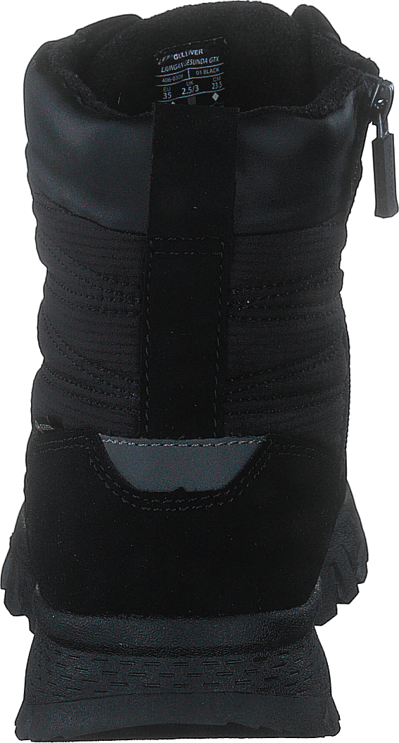 Ljungan Gesunda Gtx Schwarz