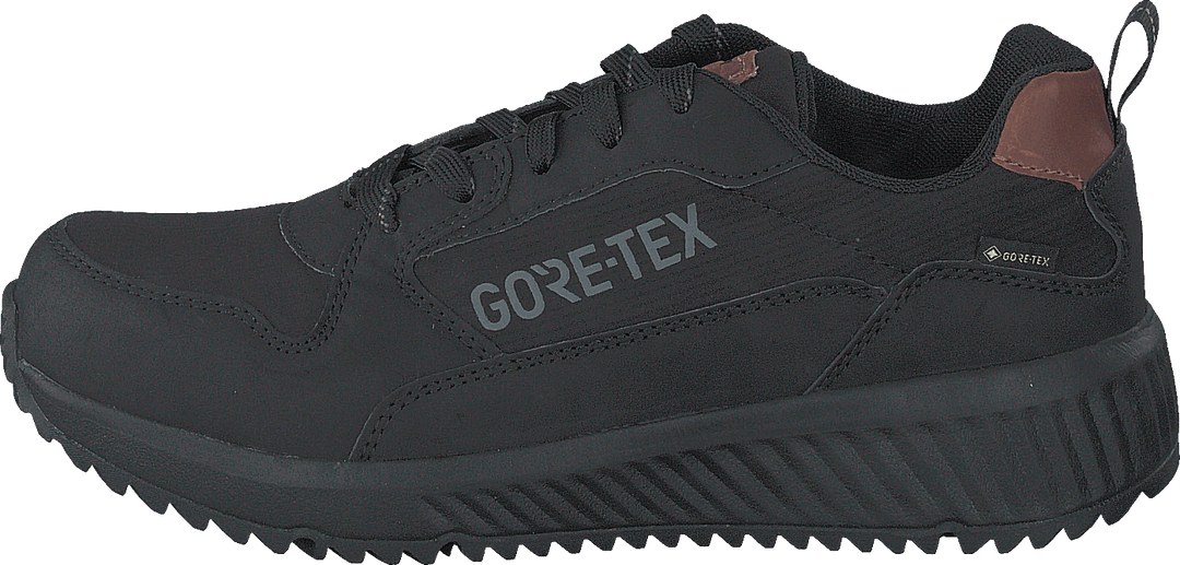 Arena Albertvil Gtx Svart