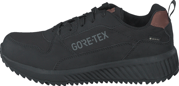 Arena Albertvil Gtx Svart