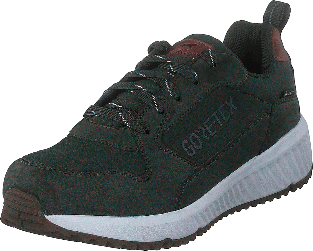Arena Albertvil Gtx Green
