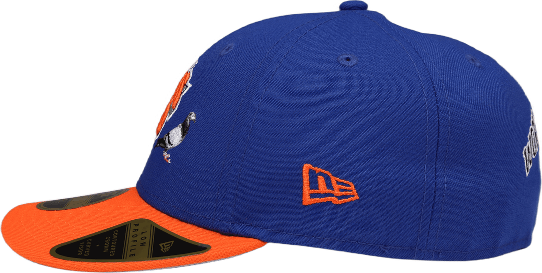 Lp5950 Graffetta Knicks Royal
