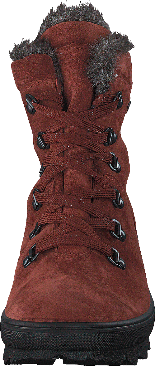 Novara Brown