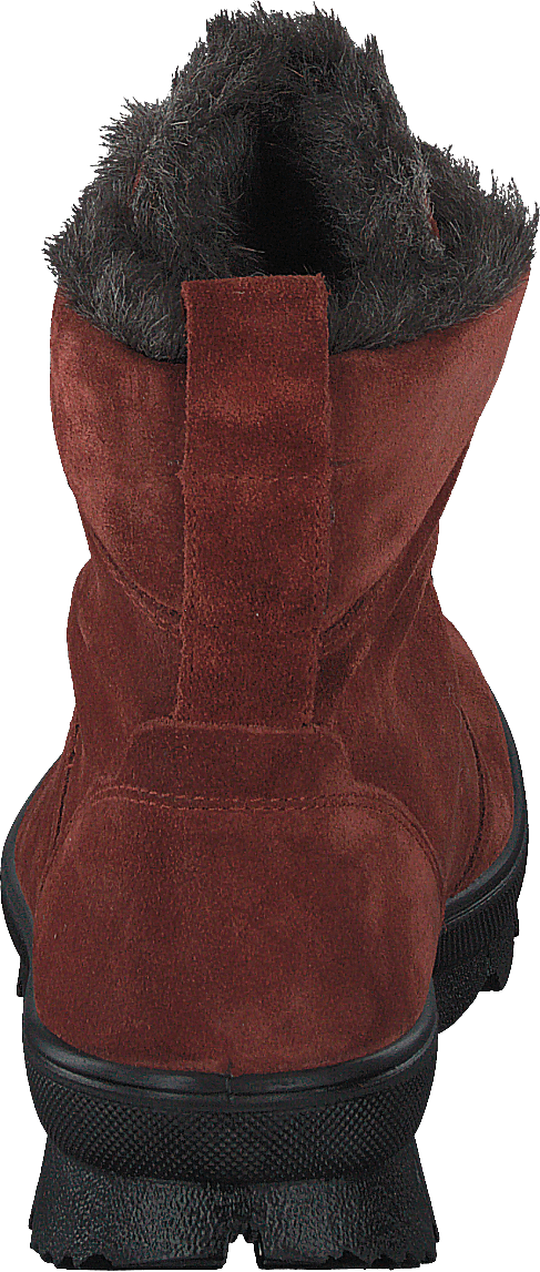 Novara Brown
