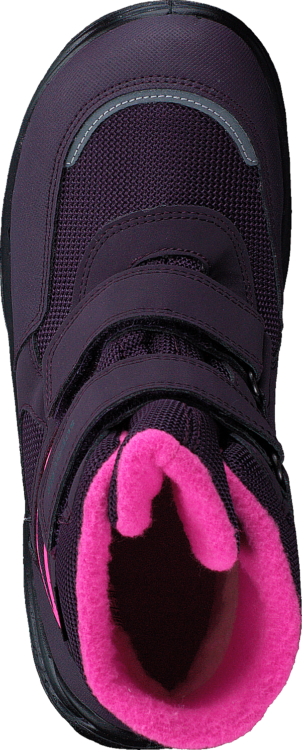 Snowcat Purple