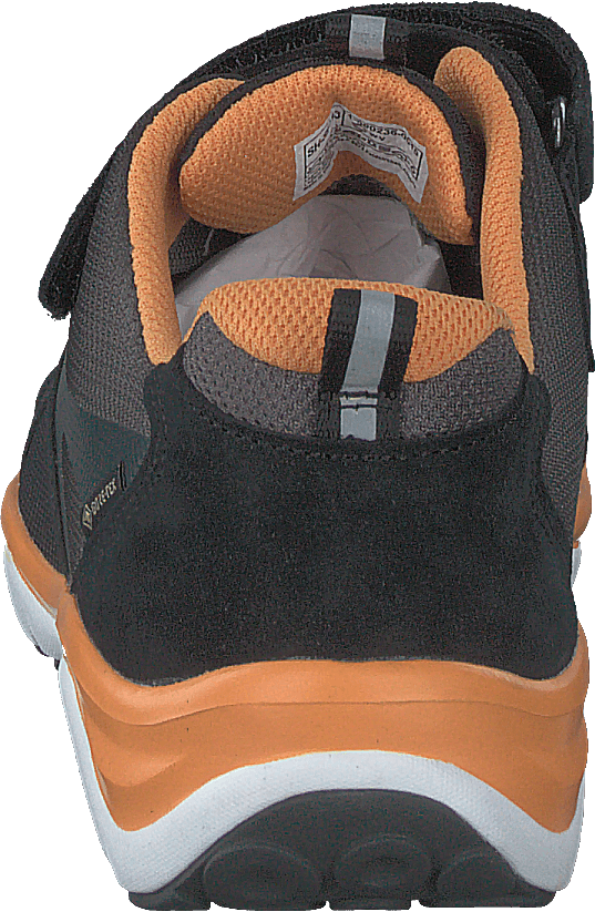 Sport5 GTX low Black