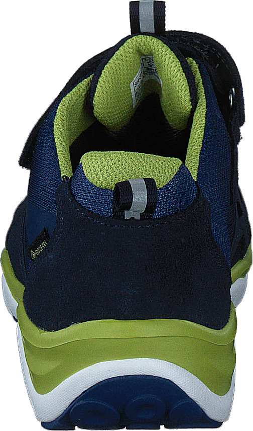 Sport5 GTX low Blue