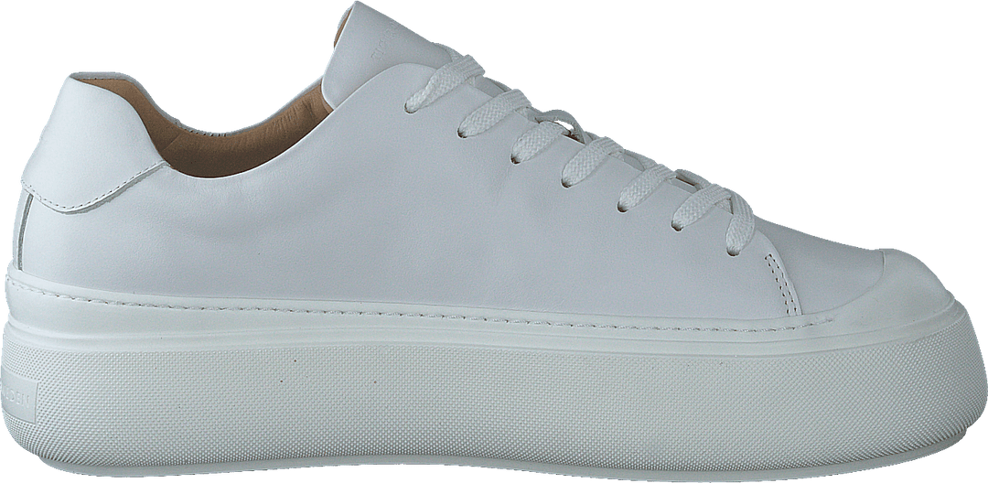 Stam White