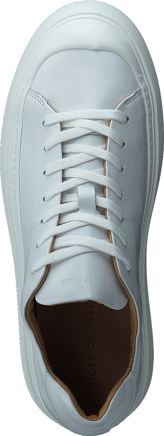 Stam White