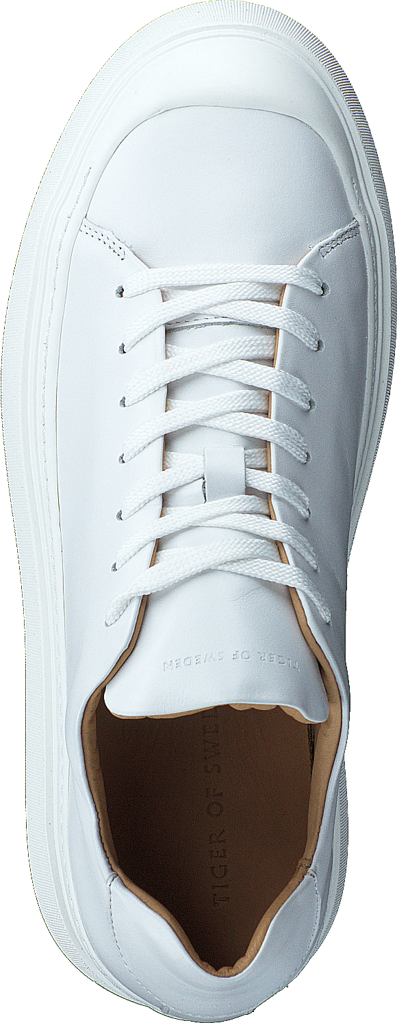 Stam Tw White