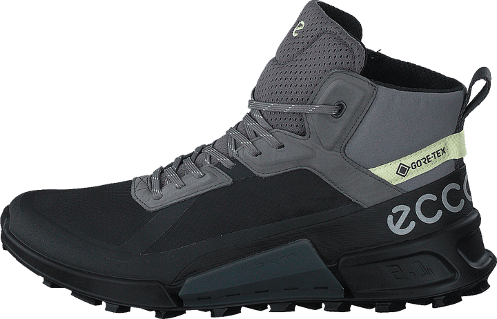 Ecco Biom 2.1 X Mountain W Schwarz/Stahl