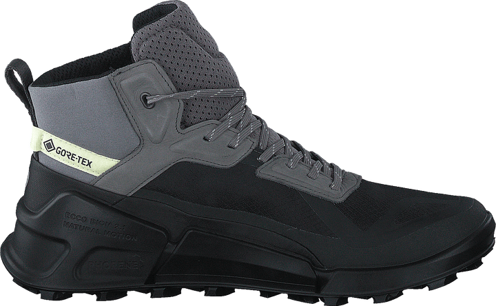 Ecco Biom 2.1 X Mountain W Schwarz/Stahl