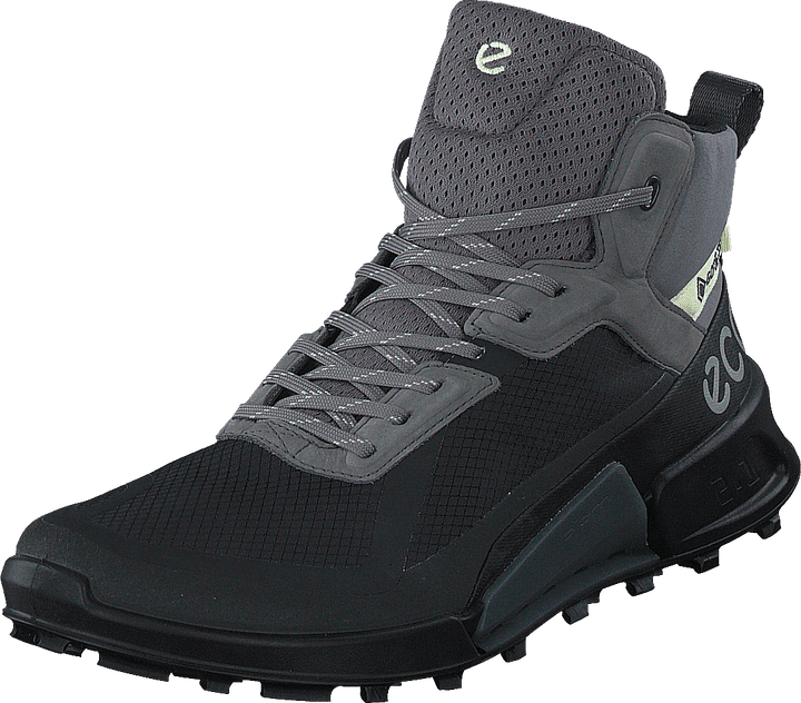 Ecco Biom 2.1 X Mountain W Schwarz/Stahl