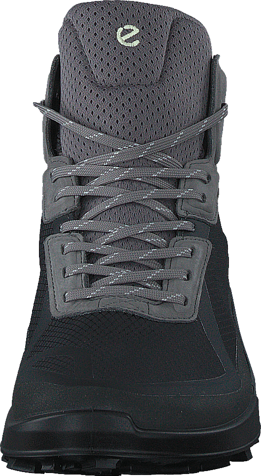 Ecco Biom 2.1 X Mountain W Schwarz/Stahl