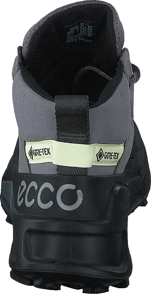 Ecco Biom 2.1 X Mountain W Schwarz/Stahl