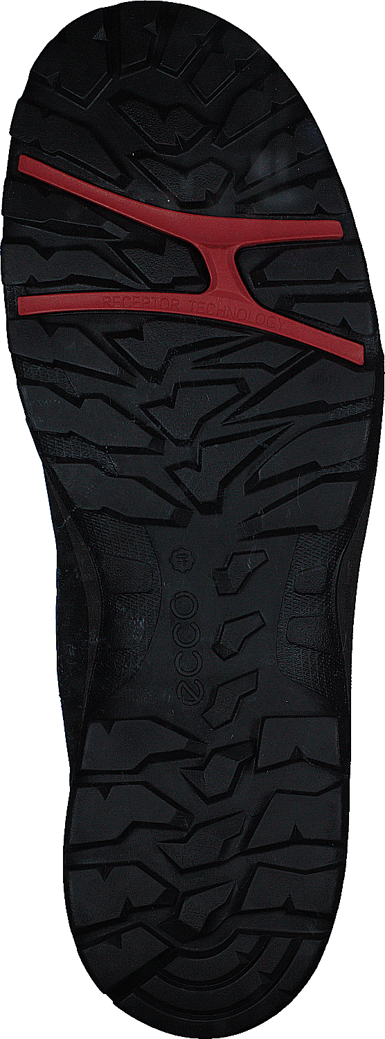 Ecco Xpedition Iii W Black/black