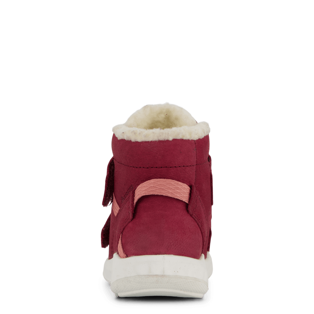 Ecco Sp.1 Lite Infant Morillo