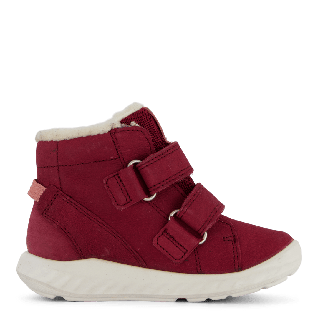 Ecco Sp.1 Lite Infant Morillo
