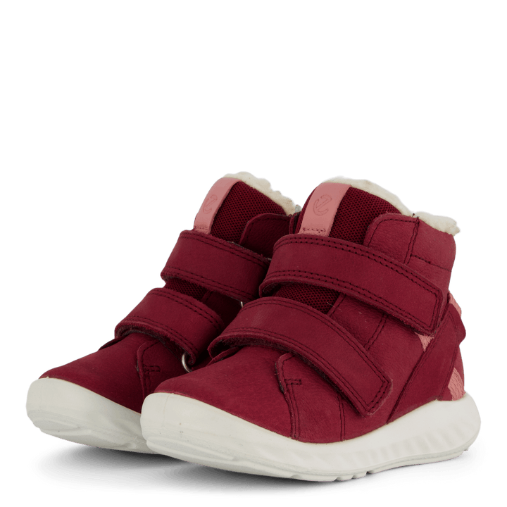 Ecco Sp.1 Lite Infant Morillo