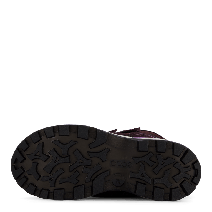 Ecco Snow Mountain Black/fig/fig