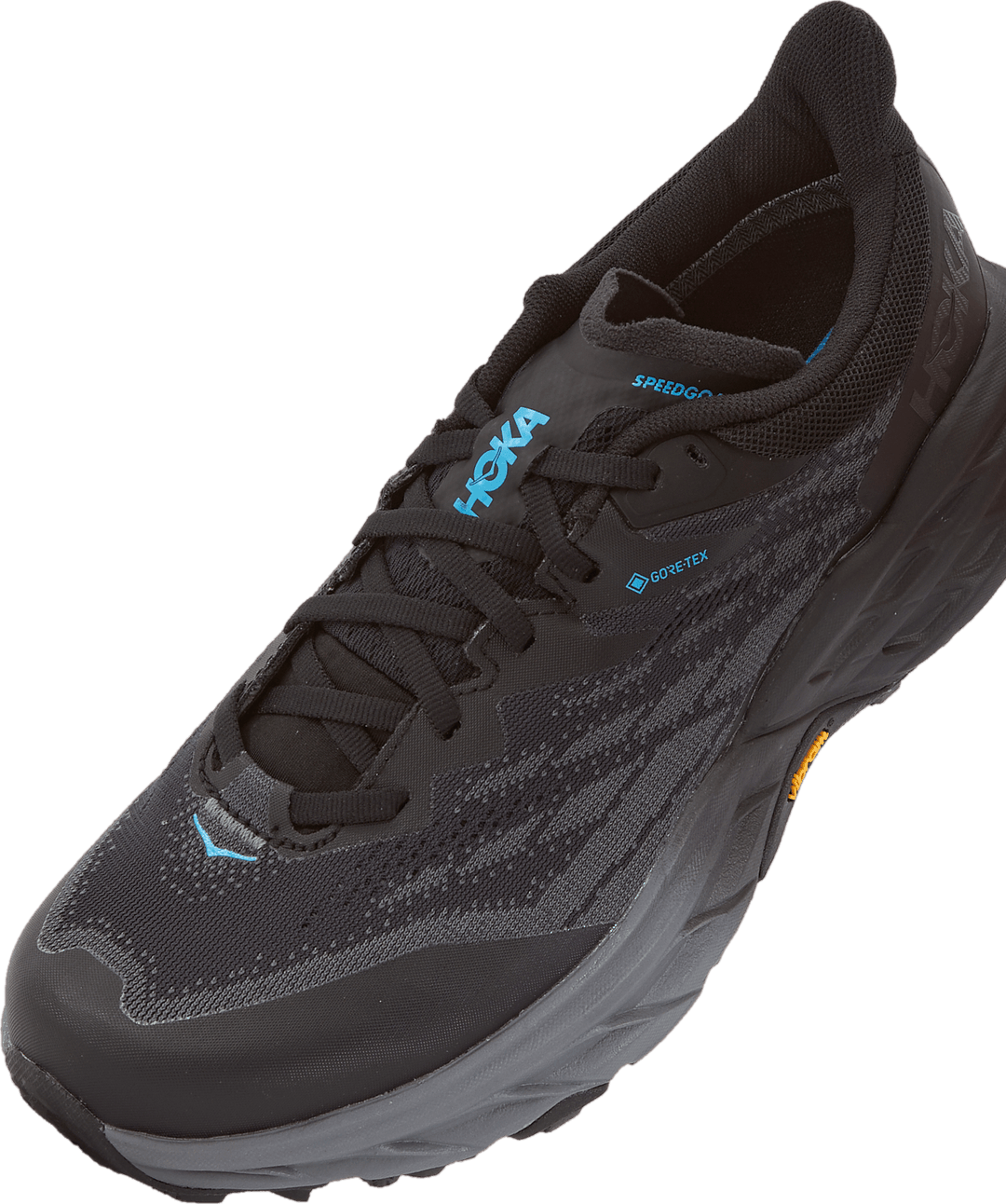 M Speedgoat 5 Gtx Ice Black / Black