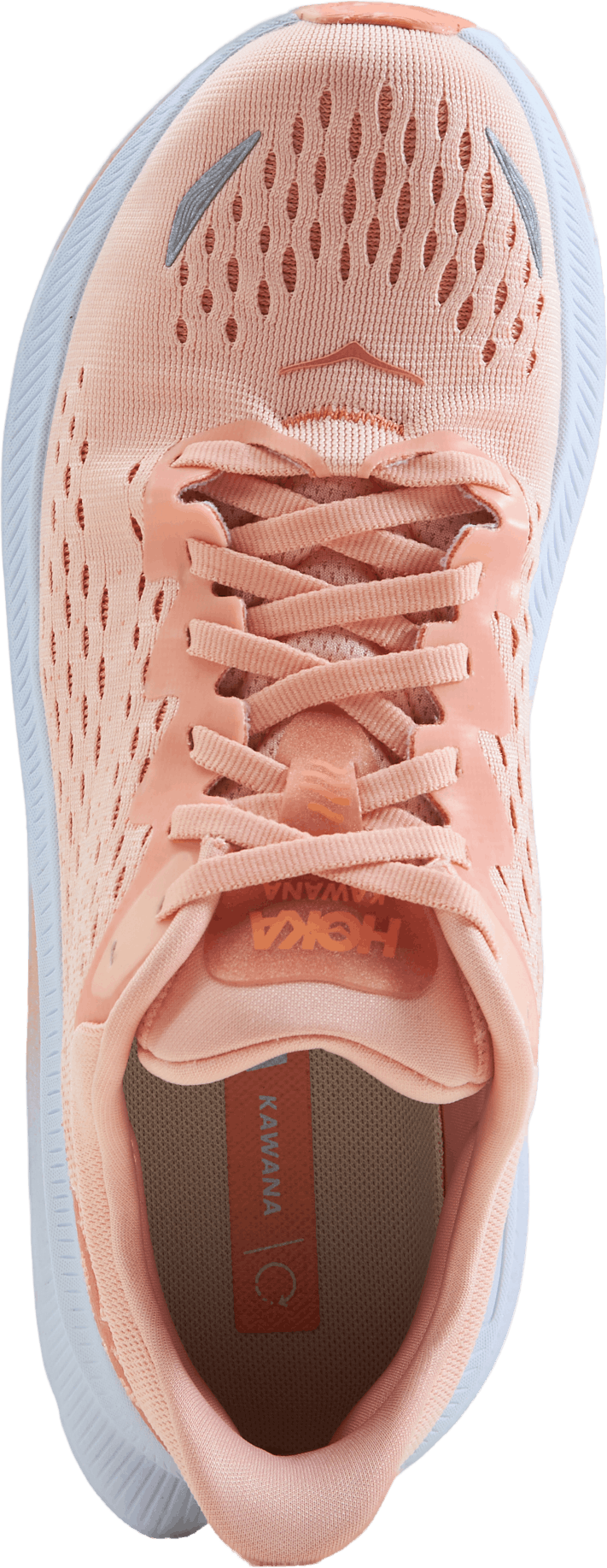W Kawana Peach Parfait / Shell Coral