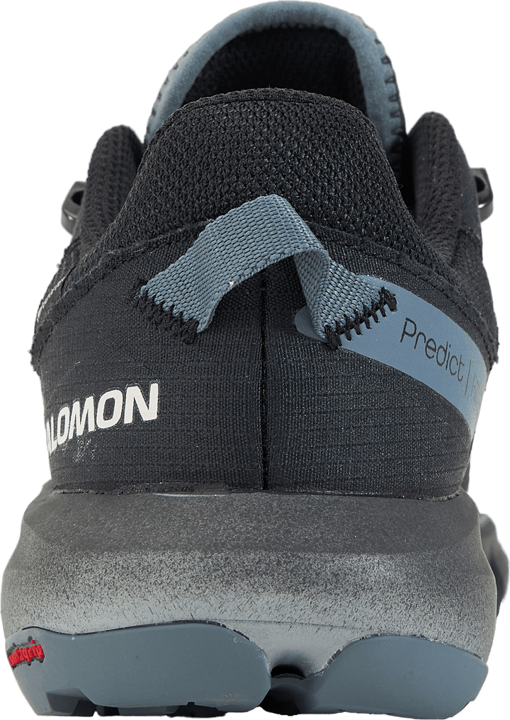 Predict Hike Gtx Ebony/black/stormy Počasí
