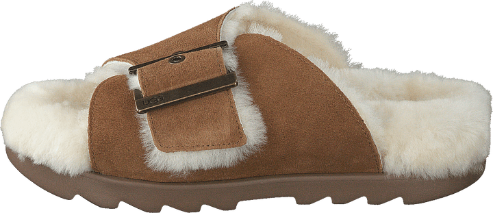 W Outslide Spänne Chestnut Mocka