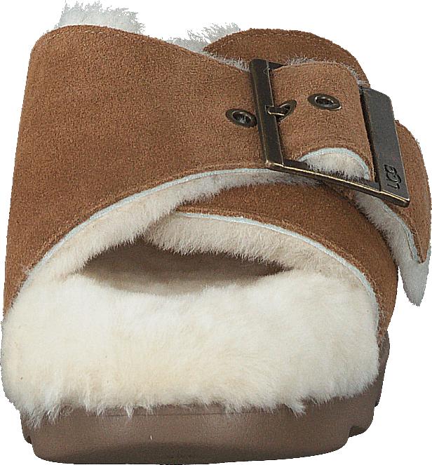W Outslide Spänne Chestnut Mocka