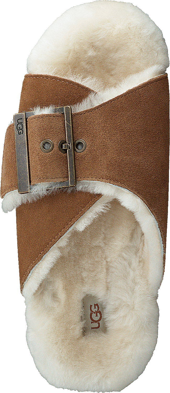 W Outslide Spänne Chestnut Mocka