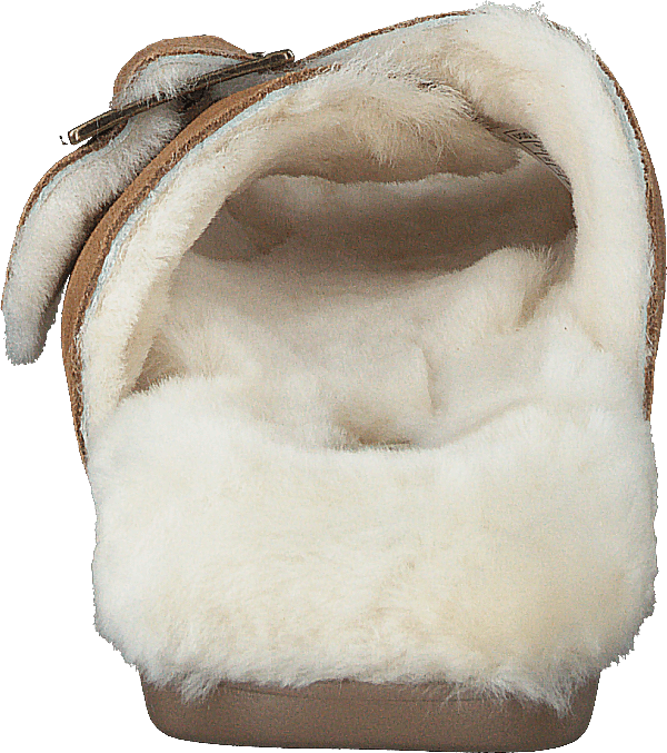 W Outslide Spänne Chestnut Mocka