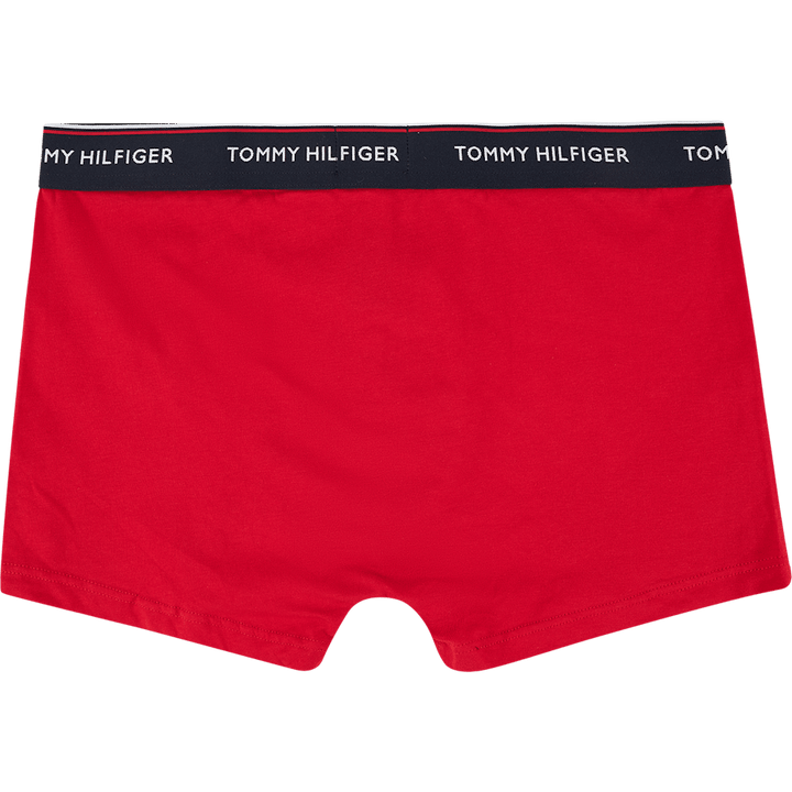 3p Trunk Desert Sky/terrain/primary Red