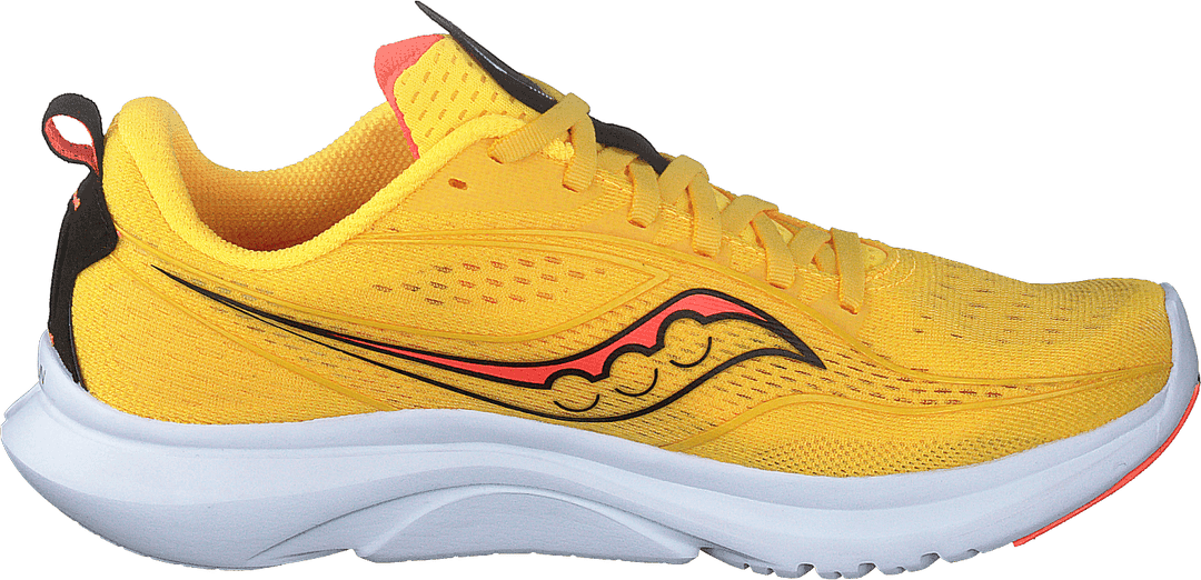 Kinvara 13 Vizigold/vizired