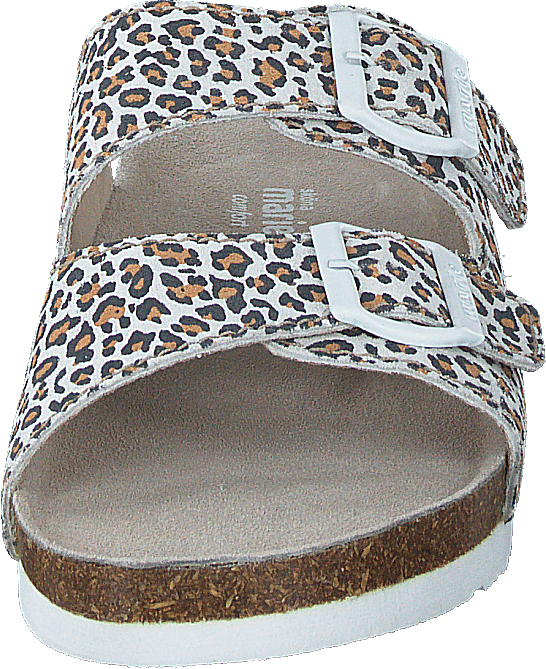 Lolo Leopard