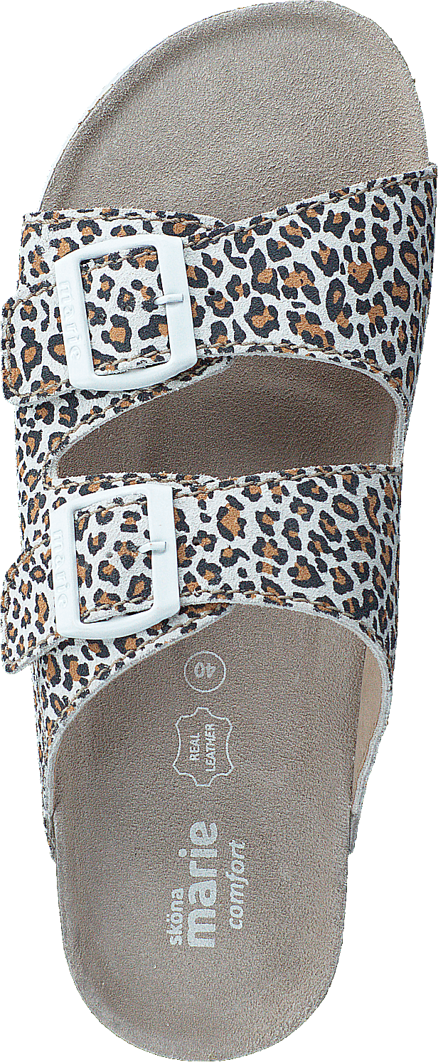 Lolo Leopard