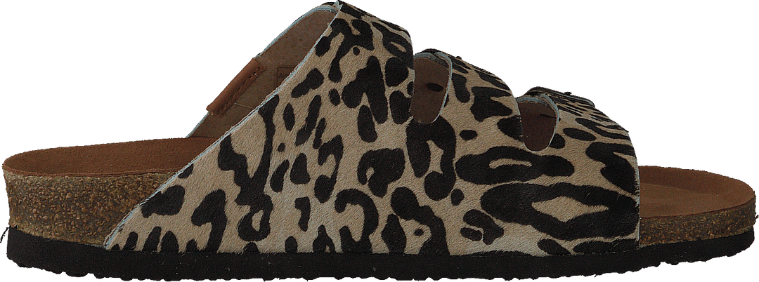 Swell Leopard