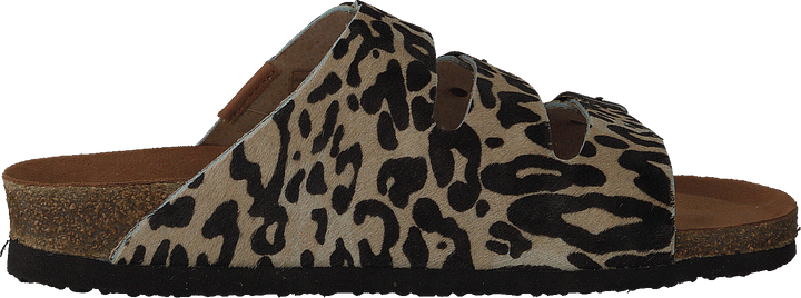 Swell Leopard