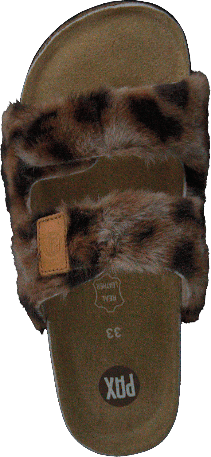 Nordan Leopard
