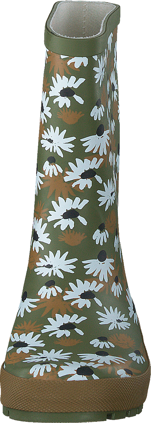 Daisy Mossgreen